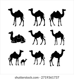 Colección de la silueta del camello - Vector conjunto de iconos de dromedario y camello bactriano, Ilustraciones de animales del desierto