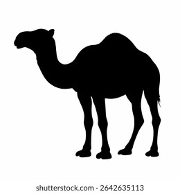 Silhueta Camelo Deserto Animal Mammal