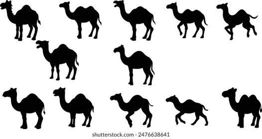 Camel silhouette designs , animal vector design