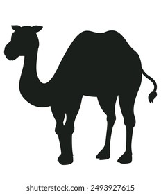 camel silhouette. camel  flat icon. camel Clipart 