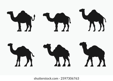 Camel silhouette icon bundle set in black and white isolated flat vector illustration for eid celebration