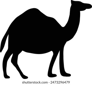 Ilustración de icono de silueta de camello Vector editable