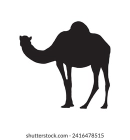 Camel Silhouette Symbol Vektorgrafik. Dromedar Silhouette kann als Symbol, Symbol oder Zeichen verwendet werden. Camel-Ikone-Vektorgrafik für die Gestaltung von Wüste, Sahara, Afrika oder Reise, geeignet für das Design von Hajj,