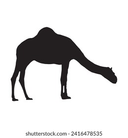 Camel silhouette icon vector. Dromedary silhouette can be used as icon, symbol or sign. Camel icon vector for design of desert, sahara, africa or journey suitable for the design of Hajj,