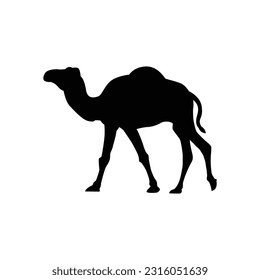 Camel silhouette illustration design, camel silhouette isolated, print and decoration
