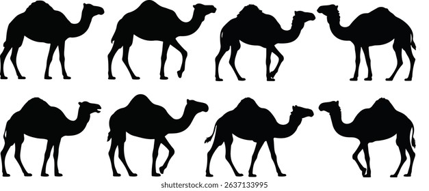 Camel Silhouette Illustration — Eight Camels in Two Rows with Symmetrical Profile Pattern