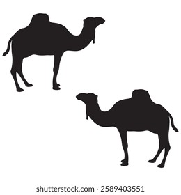 Camel Silhouette, Camel illustration, Camel icon Silhouette, Camel Silhouette illustration