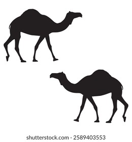 Camel Silhouette, Camel illustration, Camel icon Silhouette, Camel Silhouette illustration