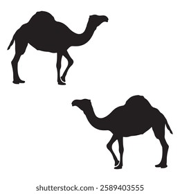 Camel Silhouette, Camel illustration, Camel icon Silhouette, Camel Silhouette illustration