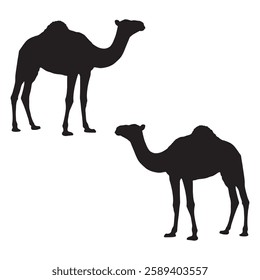 Camel Silhouette, Camel illustration, Camel icon Silhouette, Camel Silhouette illustration