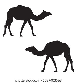 Camel Silhouette, Camel illustration, Camel icon Silhouette, Camel Silhouette illustration