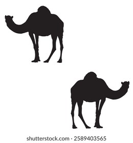 Camel Silhouette, Camel illustration, Camel icon Silhouette, Camel Silhouette illustration