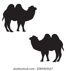 Camel Silhouette, Camel illustration, Camel icon Silhouette, Camel Silhouette illustration