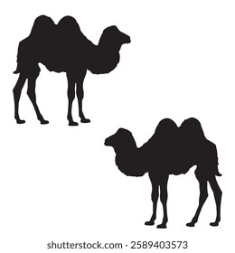Camel Silhouette, Camel illustration, Camel icon Silhouette, Camel Silhouette illustration