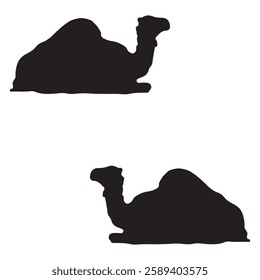 Camel Silhouette, Camel illustration, Camel icon Silhouette, Camel Silhouette illustration