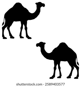 Camel Silhouette, Camel illustration, Camel icon Silhouette, Camel Silhouette illustration