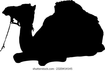 Kamelsilhouette-Illustration, Kamelvektorgrafik, geeignet als Vorlagenhintergrund oder Quurban-Coupon während Eid al-Adha