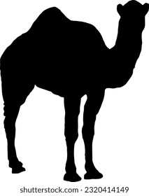 ilustración de silueta de camello, vector de camello adecuado para ser un fondo de plantilla o un cupón cubano durante Eid al-Adha