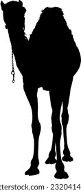 camel silhouette illustration, camel vector suitable to be a template background or qurban coupon during Eid al-Adha