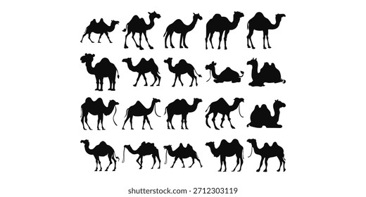 Silhueta de Camelo Pacote de Ilustração Islâmica