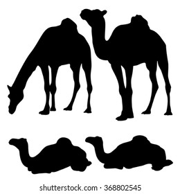 Camel Silhouette Isolated