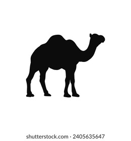 camel silhouette isolated on transparent background