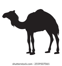 Camel Silhouette Isolated On White Background, Icon Vector Illustration Design.