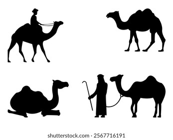 Camel Silhouette Isolated On White Background