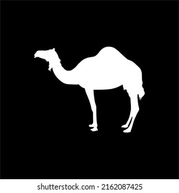 Camel Silhouette for Logo or Graphic Design Element. Vector Illustration