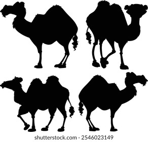 Camel Silhouette on Desert Horizon at Sunset