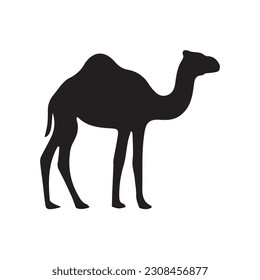 Camel Silhouette on white background