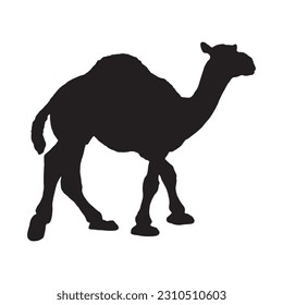 Camel Silhouette on white background