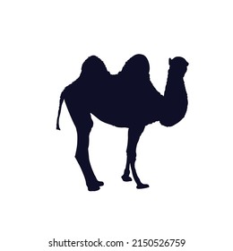 camel silhouette on white backwound