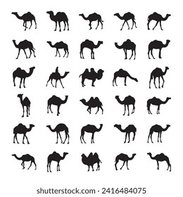 Camel silhouette set black logo animals silhouettes icons camel riders desert palm silhouette vector illustration camel set, vector set,