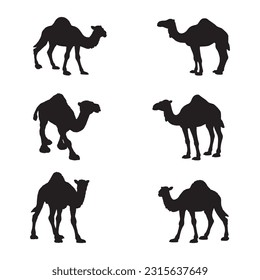 camel silhouette set collection isolated black on white background vector illustration