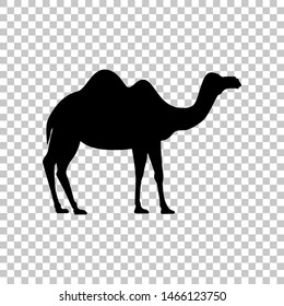 Camel silhouette sign. Black icon on transparent background. Illustration.