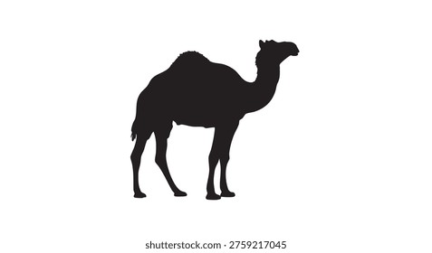Camel silhouette standing alone in white background