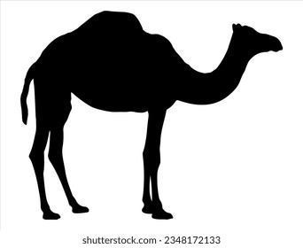 Arte vector de silueta de camello desierto animal