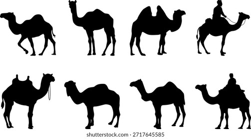 Un Vector de silueta de camello con líneas limpias y un estilo sencillo e inspirado en el desierto.
