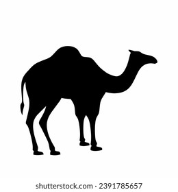 Camel silhouette vector. Dromedary silhouette can be used as icon, symbol or sign. Camel icon vector for design of desert, sahara, africa or journey