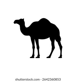 Camelo silhueta vetor ilustração plana sobre fundo branco.