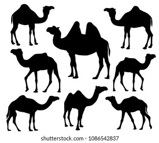 camel silhouette vector icon logo design set template