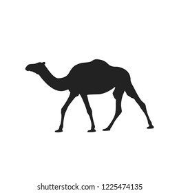 Camel Silhouette Vector Illustration