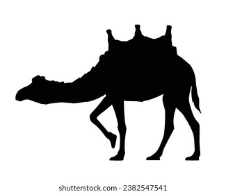 Camel Silhouette. Ilustración del vector del camello.