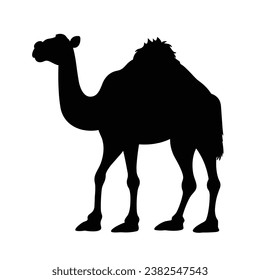 Camel Silhouette. Camel Vector Illustration.