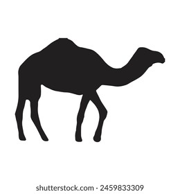 camel with silhouette vector illustration