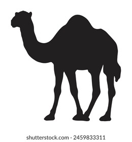 camel with silhouette vector illustration