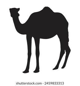 camel with silhouette vector illustration