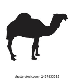 camel with silhouette vector illustration