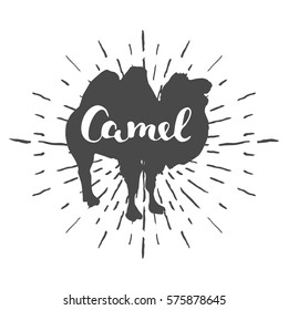 Camel silhouette, vector illustration